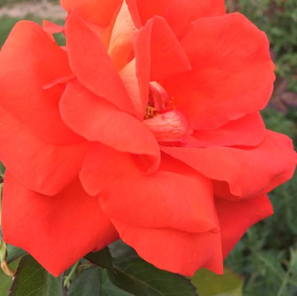 margaretlee674